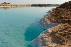 Turquoise water meets salt-encrusted shore under a clear sky.
