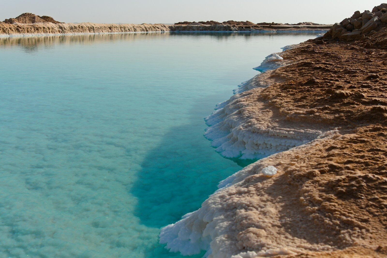 Turquoise water meets salt-encrusted shore under a clear sky.